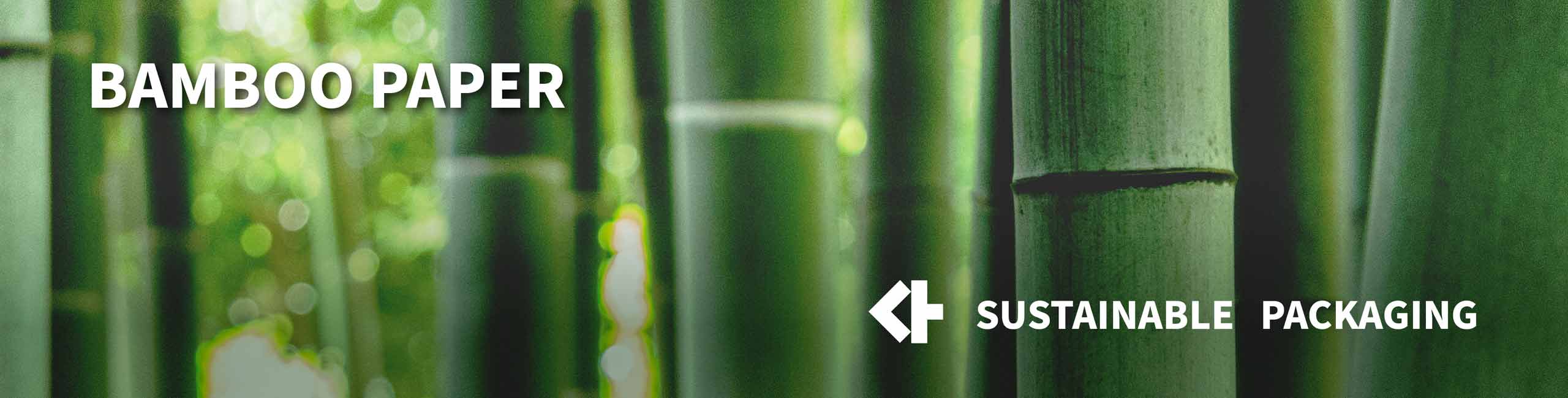 Why is Bamboo Sustainable? The Uses and Benefits of Bamboo