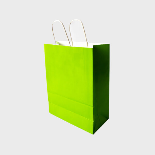 Retail Paper Bag with Handles