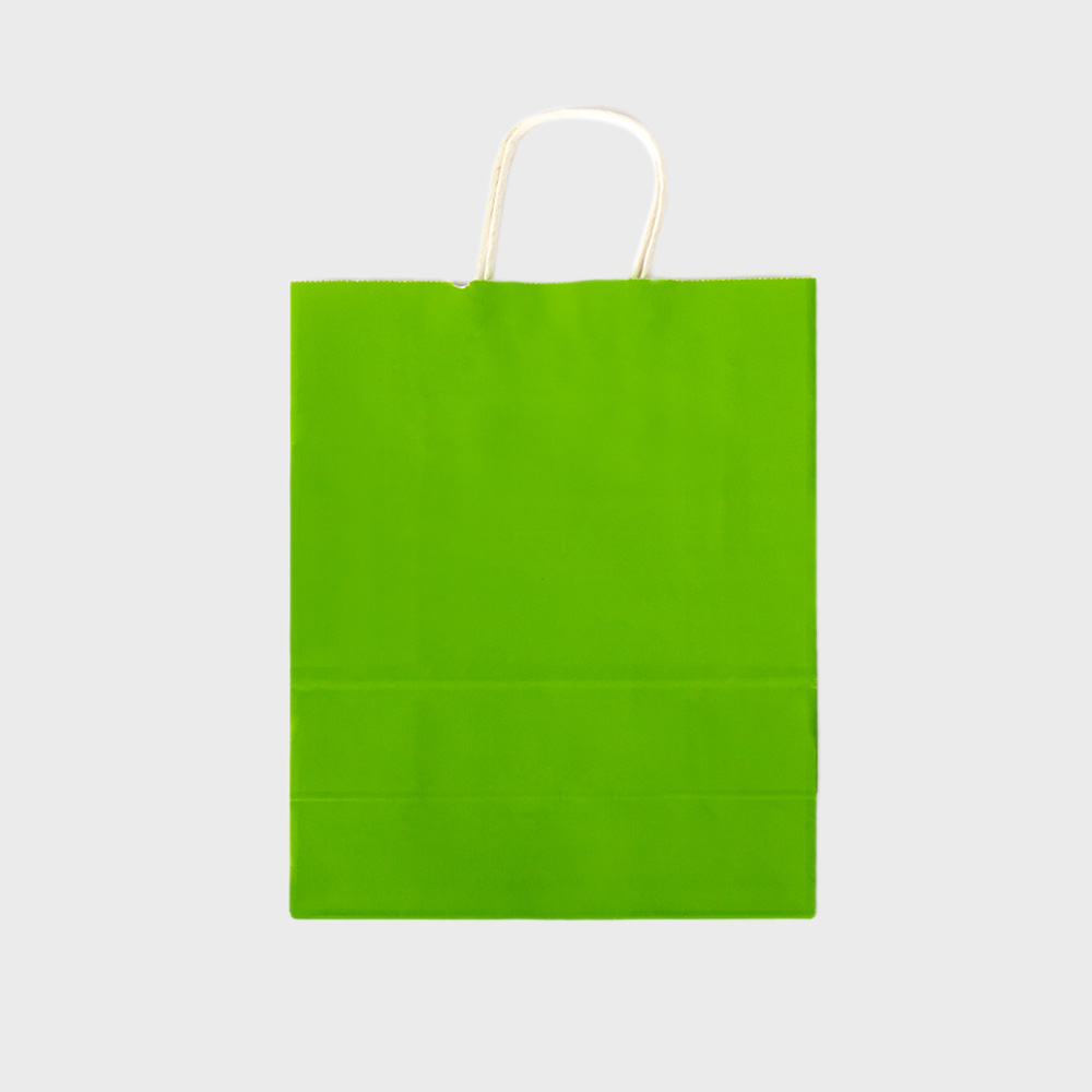 Retail Paper Bag with Handles