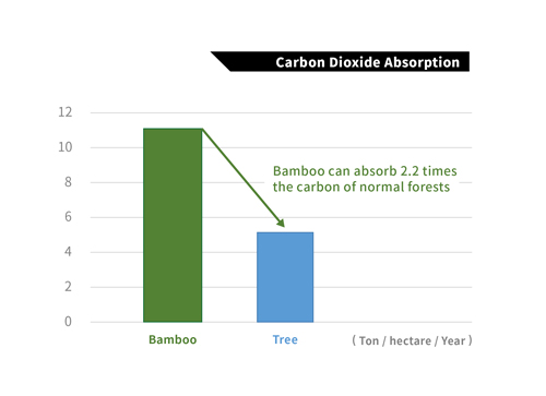 the advantages of Bamboo: Carbon Dioxide Absorption