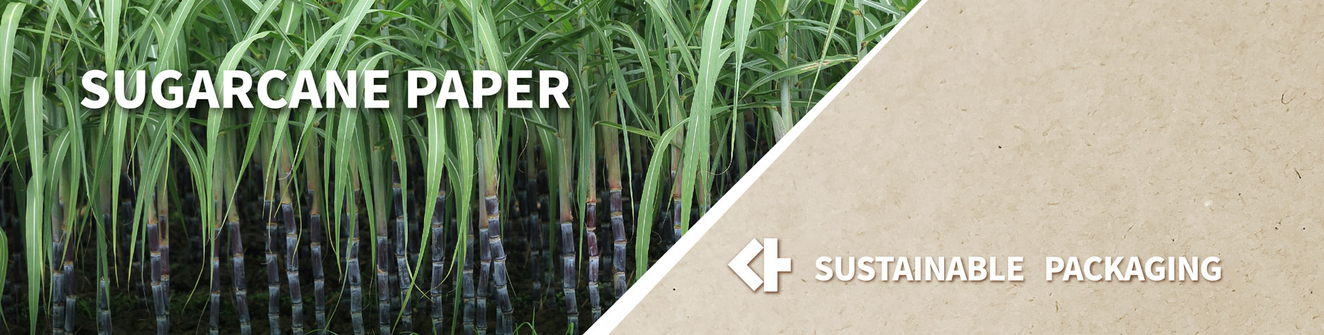 How is Sugarcane Paper Made?