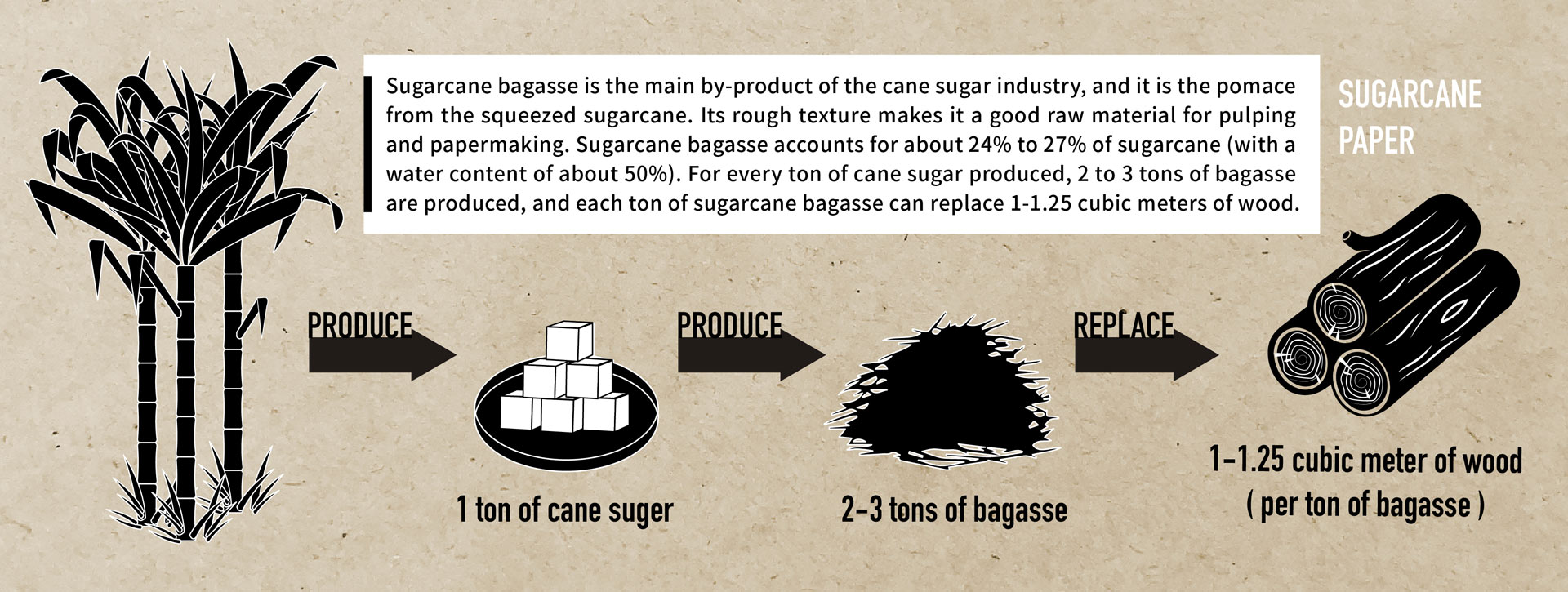 Sugarcane-Paper production